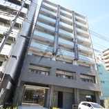 ステラマリス
