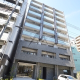 ステラマリス